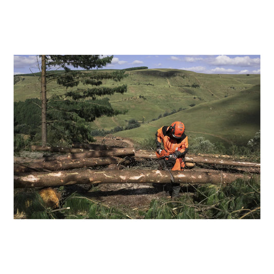 Husqvarna 565 Gas Chainsaw