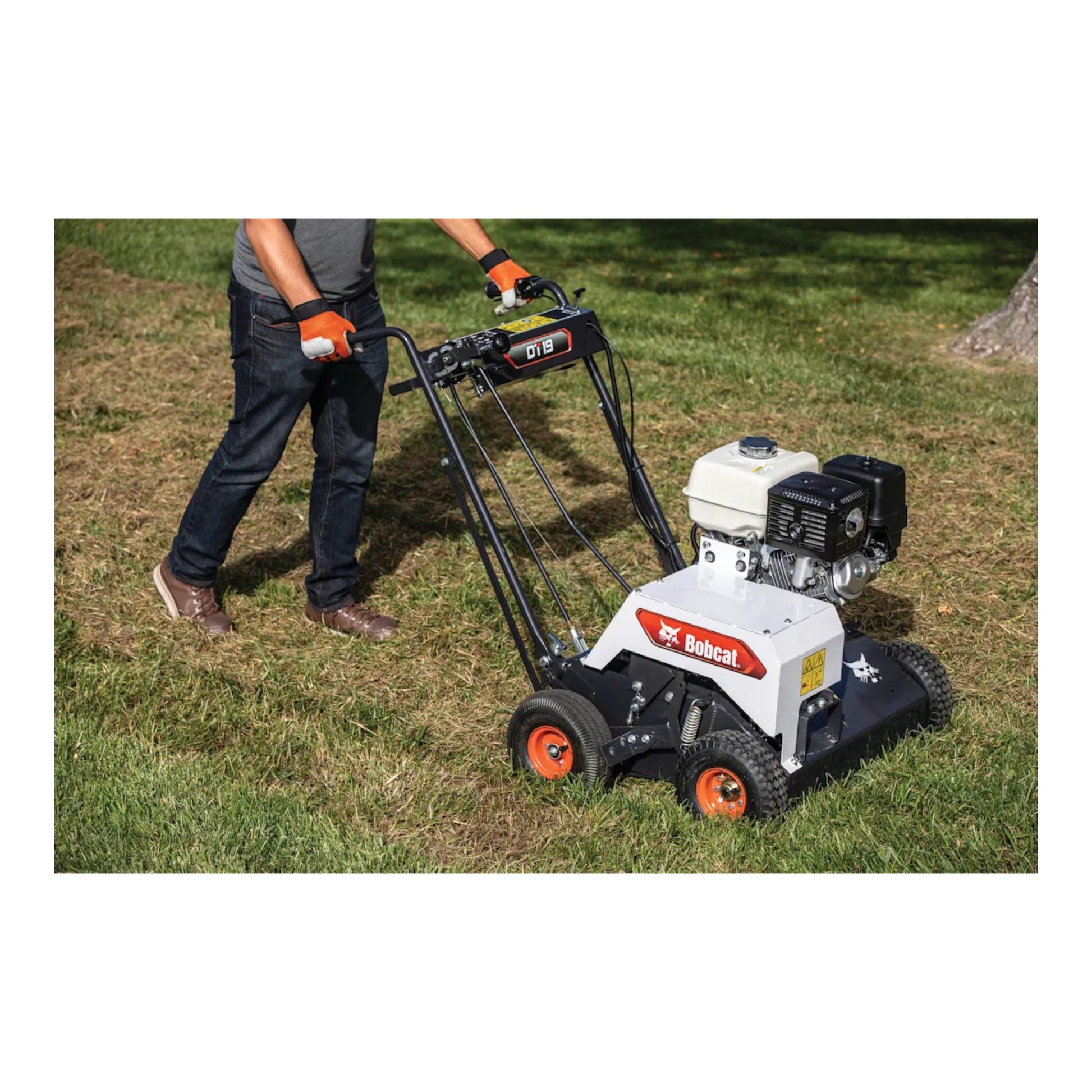 Bobcat DT19 19-inch self-propelled dethatcher & verticutter with dual-function tines and durable steel frame