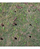 Classen SA-30A 30-inch Kawasaki FS541V PRO stand-aer aerator with heavy-duty tines, stand-on platform, and commercial-grade durability