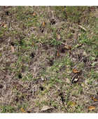 Classen TA18AH 18-inch Honda GX120 PRO steerable compact aerator with heavy-duty tines and compact steering design