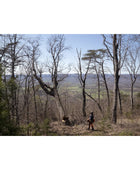 Husqvarna 585 motosierra de gas