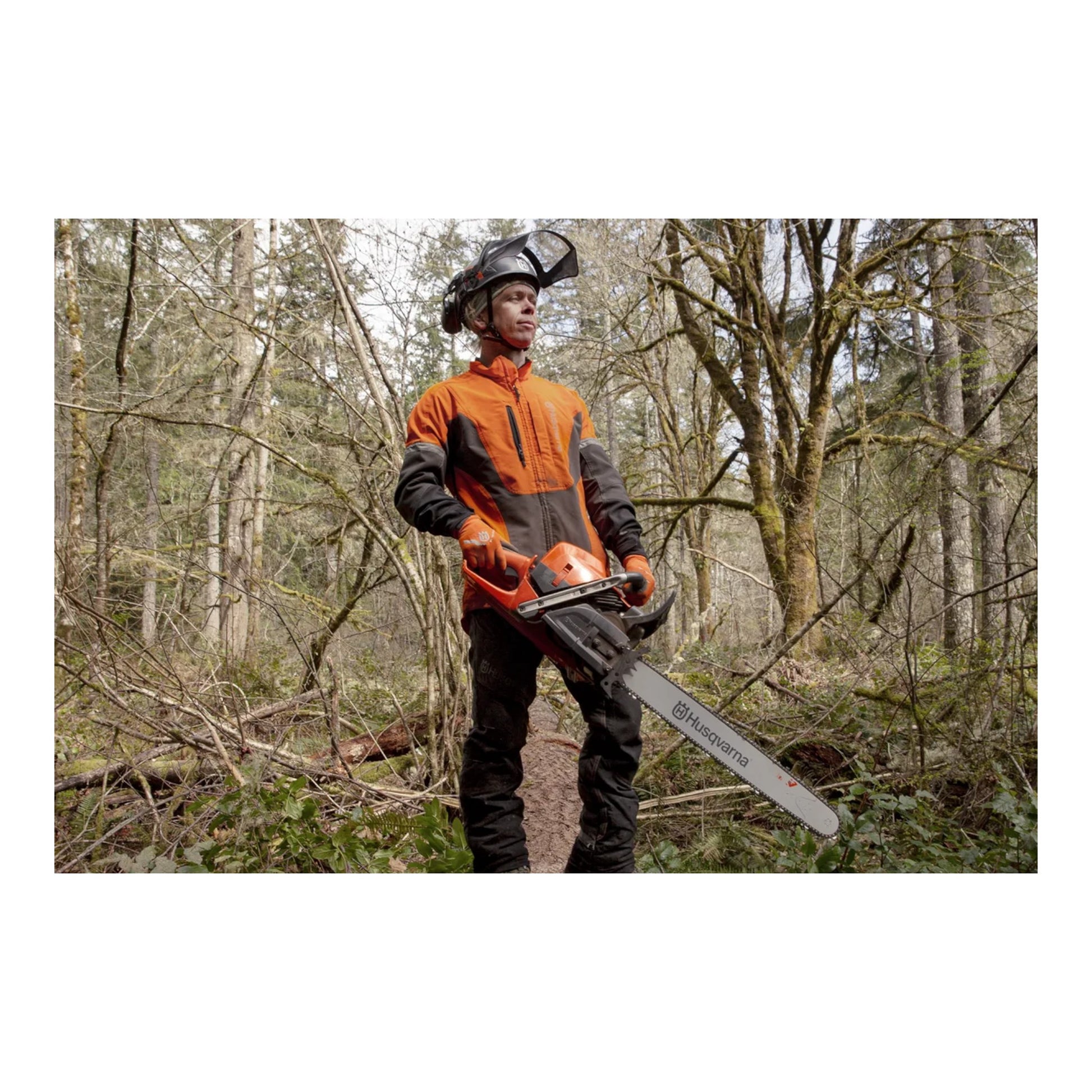 Husqvarna 585 Gas Chainsaw