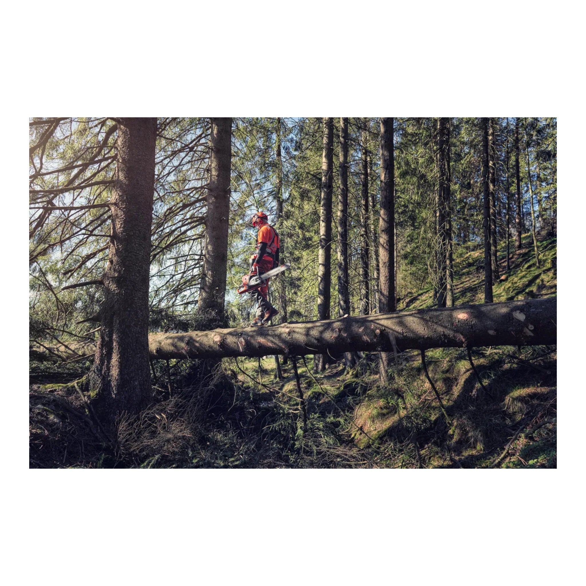 Husqvarna 572XPG Gas Chainsaw — House Of Contractors Inc.