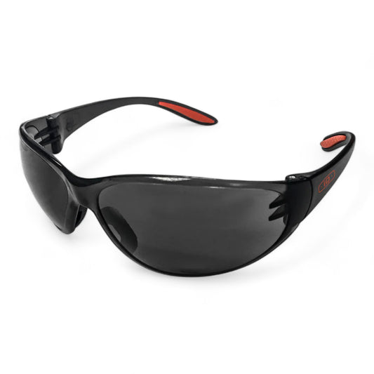 iQ Safety Glasses ECO HC & AF